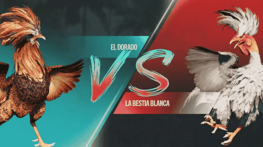 66gg Cassino Oficial de Slots